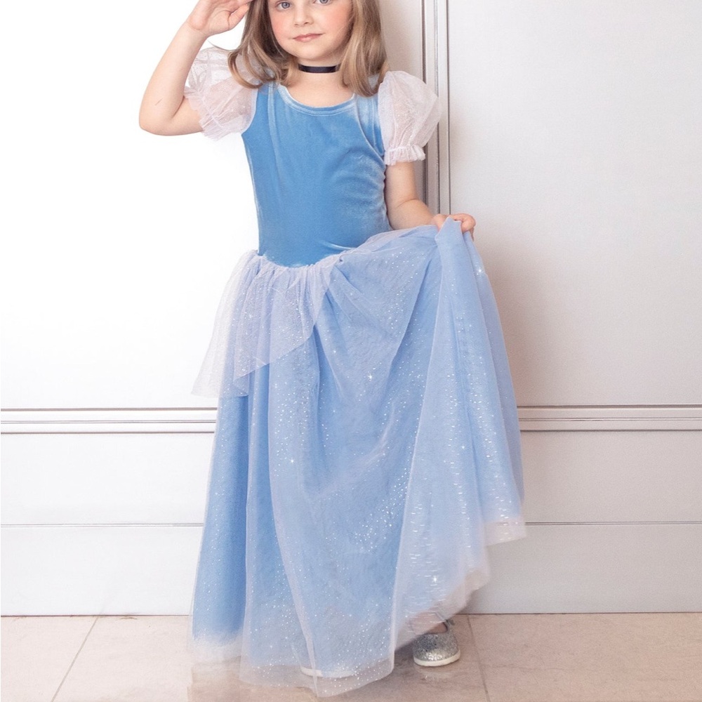 Cinderella princess costume dress